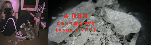 ПСИЛОЦИБИНОВЫЕ ГРИБЫ Строитель