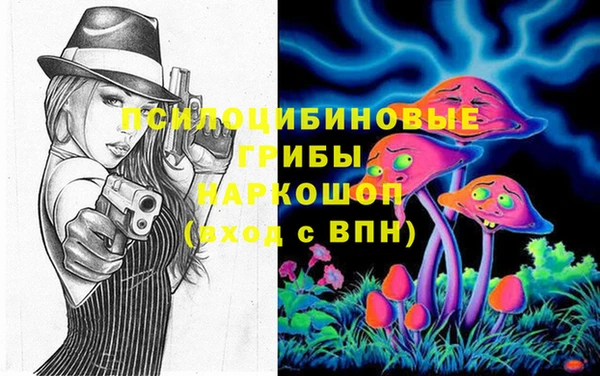 крисы Володарск